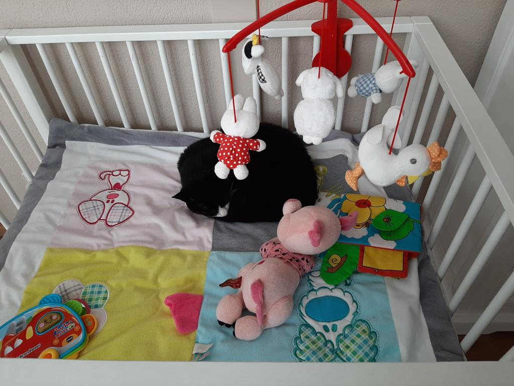 Witte box, Kinderen en Baby's, Boxen, Ophalen, Zo goed als nieuw, Rechthoekig, In hoogte verstelbaar