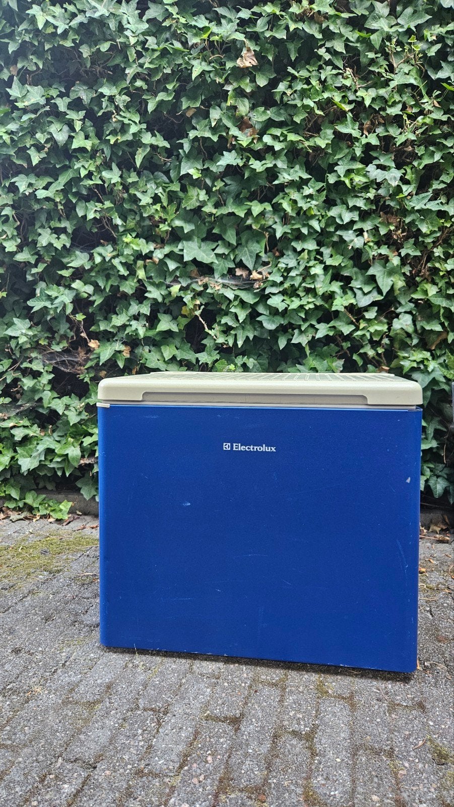 Electrolux Koelbox - Ideaal voor Camping en Reizen, Caravans en Kamperen, Koelboxen, Gebruikt, Elektrisch, Ophalen of Verzenden