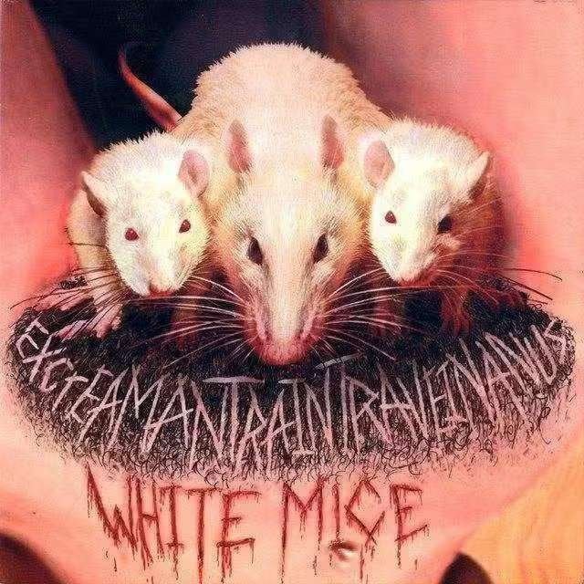 CD White Mice – EXcreaMaNTRaINTRaVEINaNUS, Cd's en Dvd's, Ophalen of Verzenden, Zo goed als nieuw, Doom metal, Album