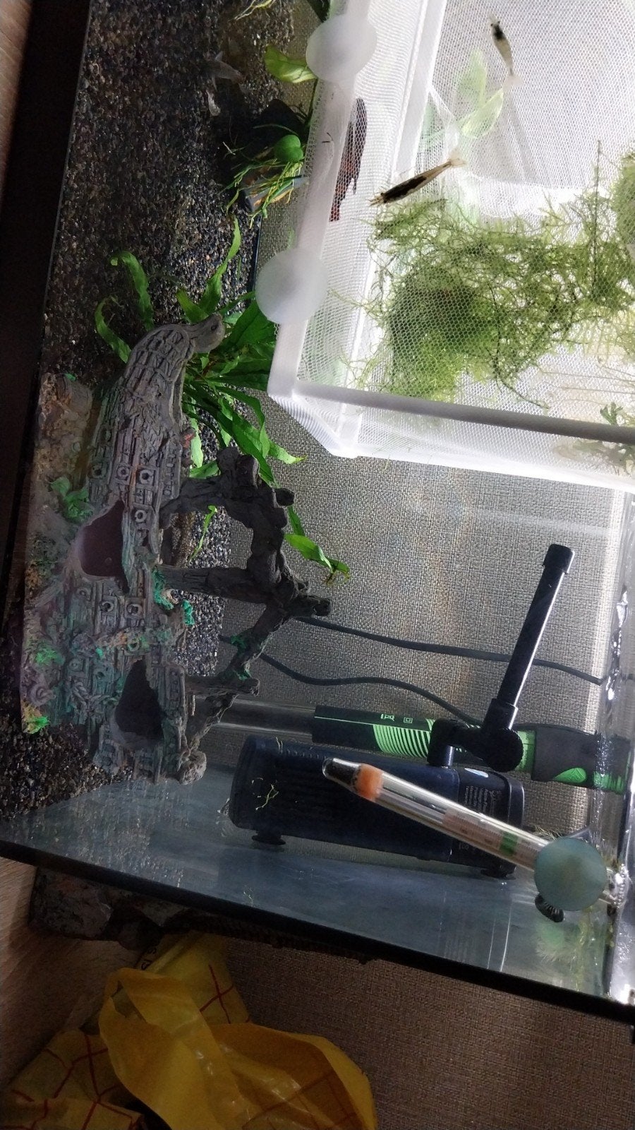 Mooi aquarium boot, Ophalen, Zo goed als nieuw, Decoratie
