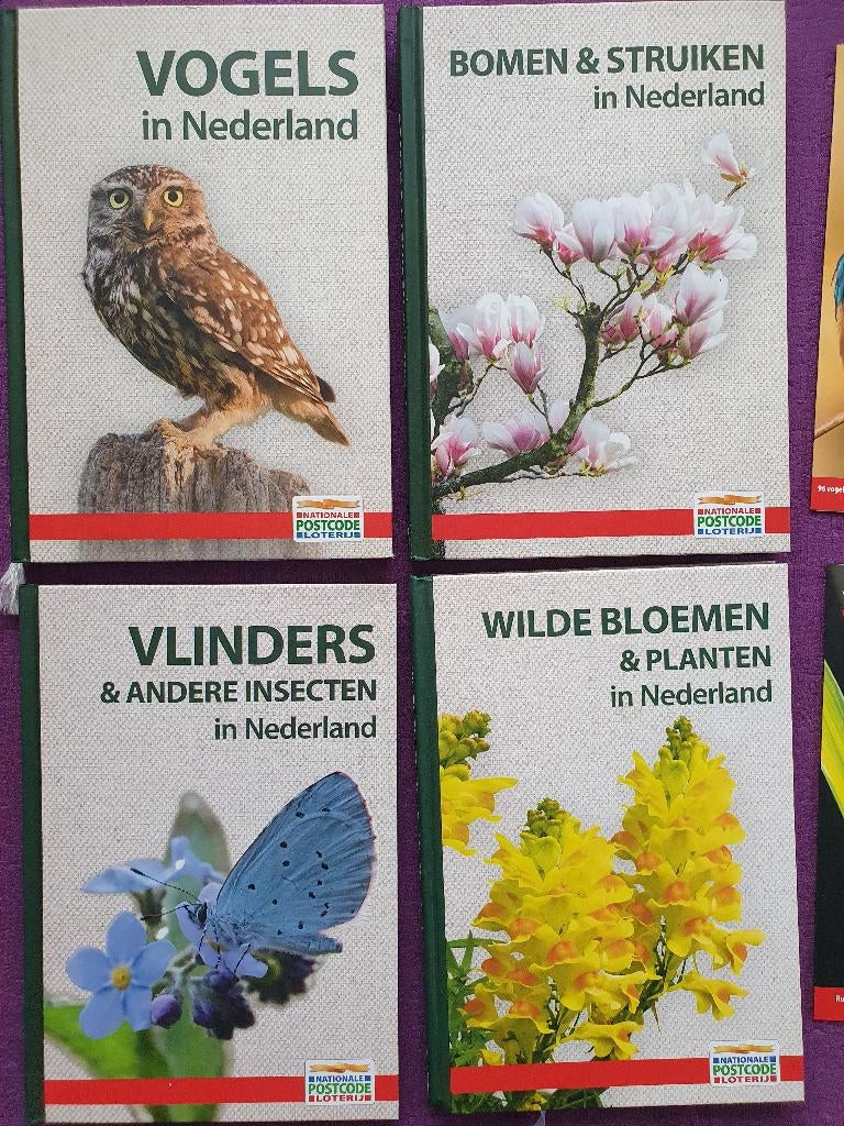 4x Boeken + 4 veldgidsen (nr 1 t/m 4), Ophalen of Verzenden, Nieuw, Vogels
