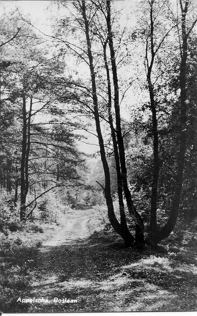 Appelscha Boslaan., Ophalen of Verzenden, 1960 tot 1980, Gelopen, Friesland
