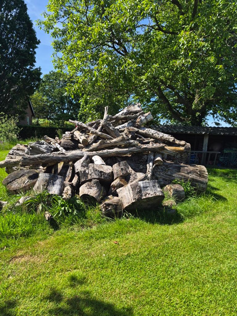 Gemengd brandhout, Tuin en Terras, Haardhout, 6 m³ of meer, Ophalen, Overige houtsoorten, Stammen