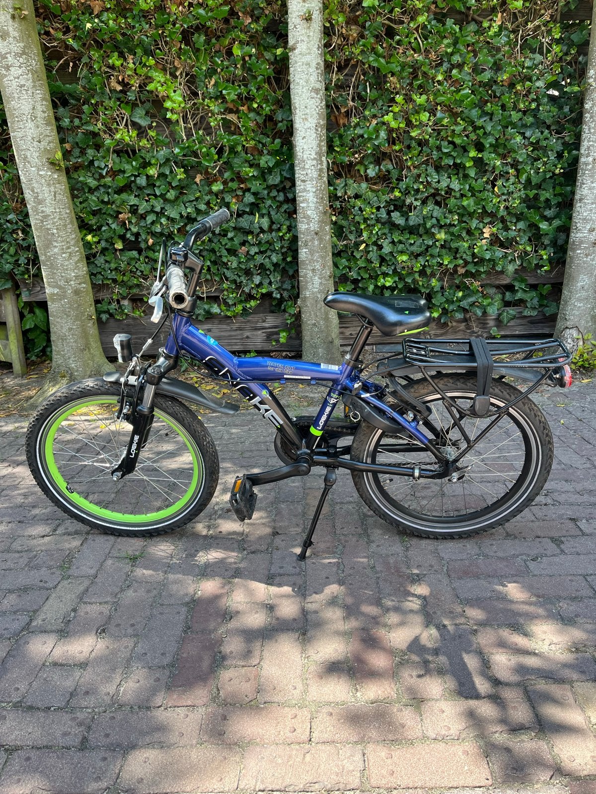 Loekie Snake kinderfiets 20 inch - Blauw/Groen, Fietsen en Brommers, Ophalen, Gebruikt, Terugtraprem, 16 tot 20 inch