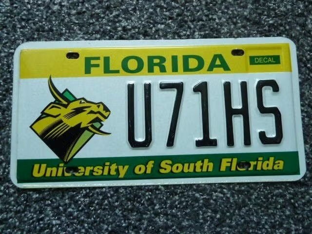 Kentekenplaat licenseplate Florida University South Florida, Verzenden, Gebruikt, Auto's
