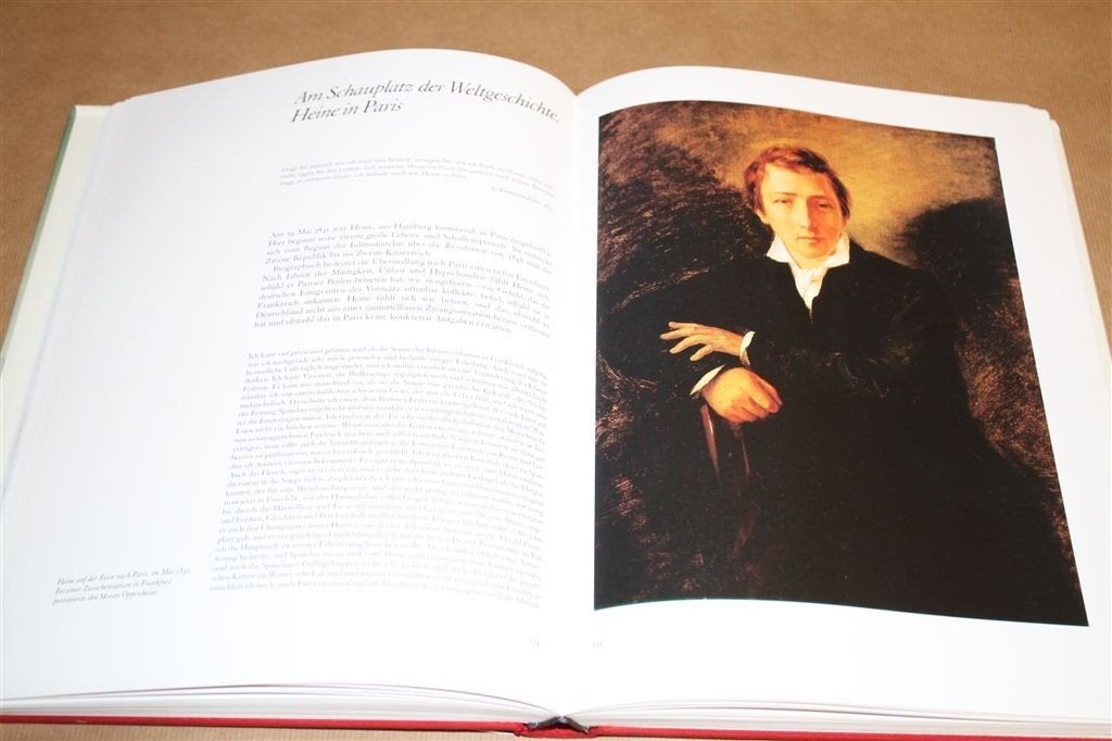 Heinrich Heine. Leven, werk en invloed. Edda Ziegler., Ophalen of Verzenden, Gelezen