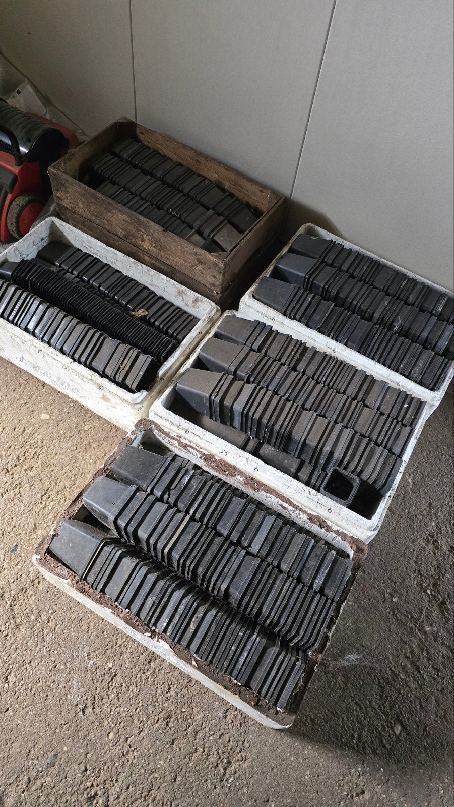 Honderden stekbakjes voor planten en zaailingen, Ophalen of Verzenden, Overige soorten, Volle zon