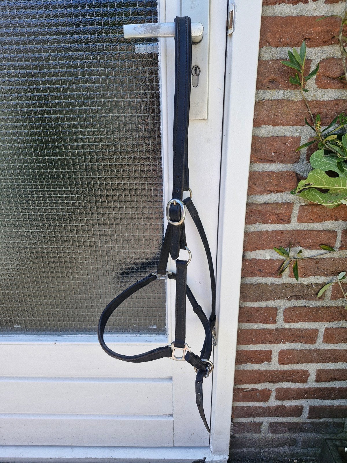 nieuw leren halster maat Full, Recreatie, Harry's Horse, Ophalen of Verzenden, Zwart