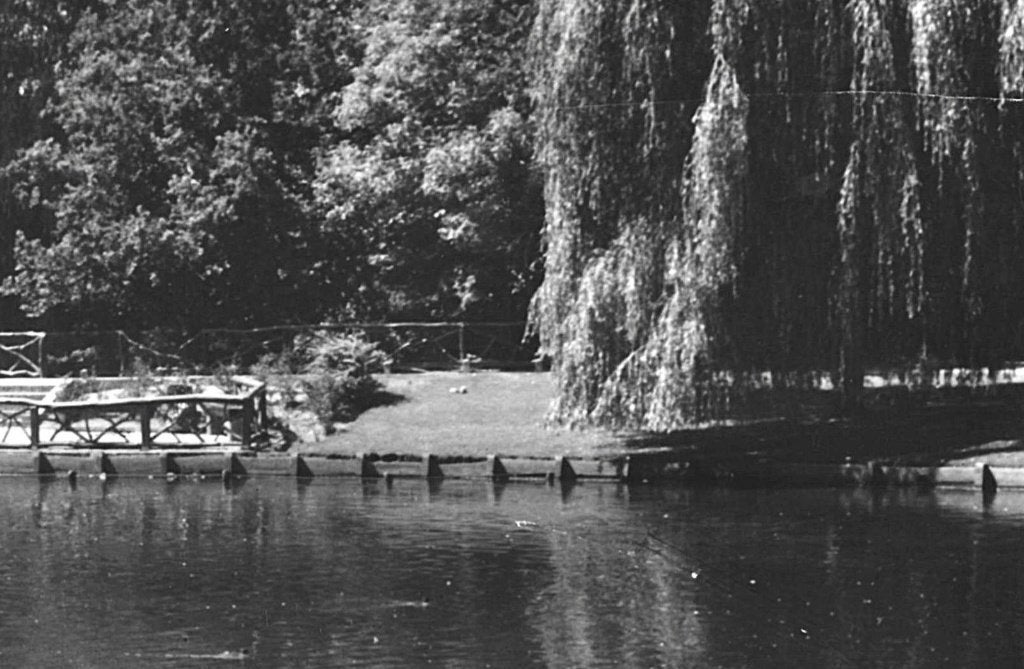 969122	Eindhoven	Stadswandelpark	1959	Gelopen, Ophalen of Verzenden, 1940 tot 1960, Gelopen, Noord-Brabant