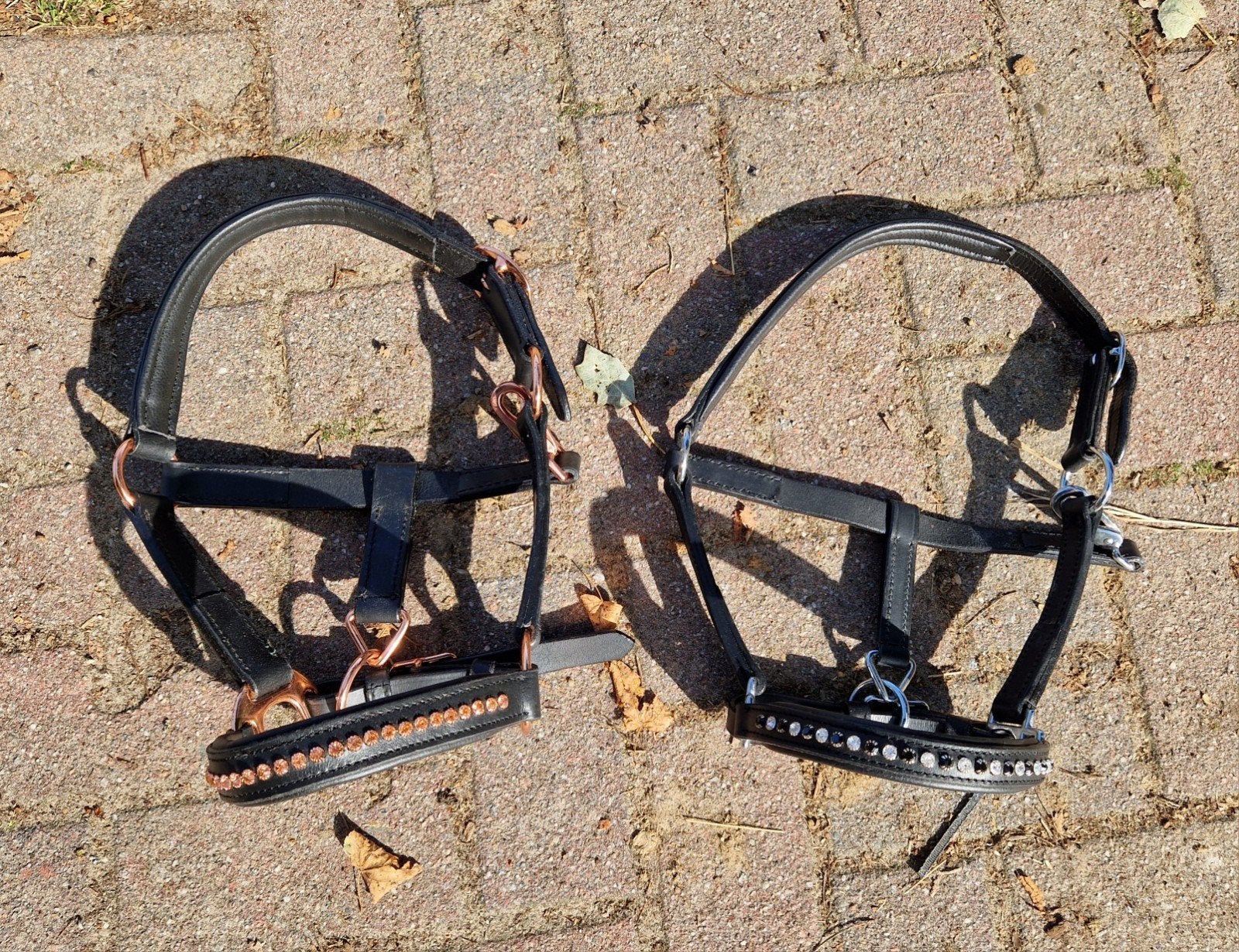 te koop leren halsters mini shetlander, ., Halster, ., .
