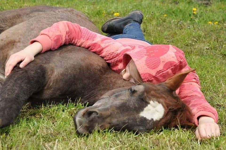 Verzorgster / Paardenmeisjes gezocht, Toebehoren, 1 paard of pony