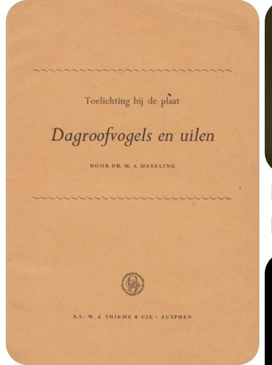 Gezocht schoolplaat boekje Dagroofvogels en uilen, Antiek en Kunst, Antiek | Schoolplaten, Ophalen of Verzenden, Geschiedenis