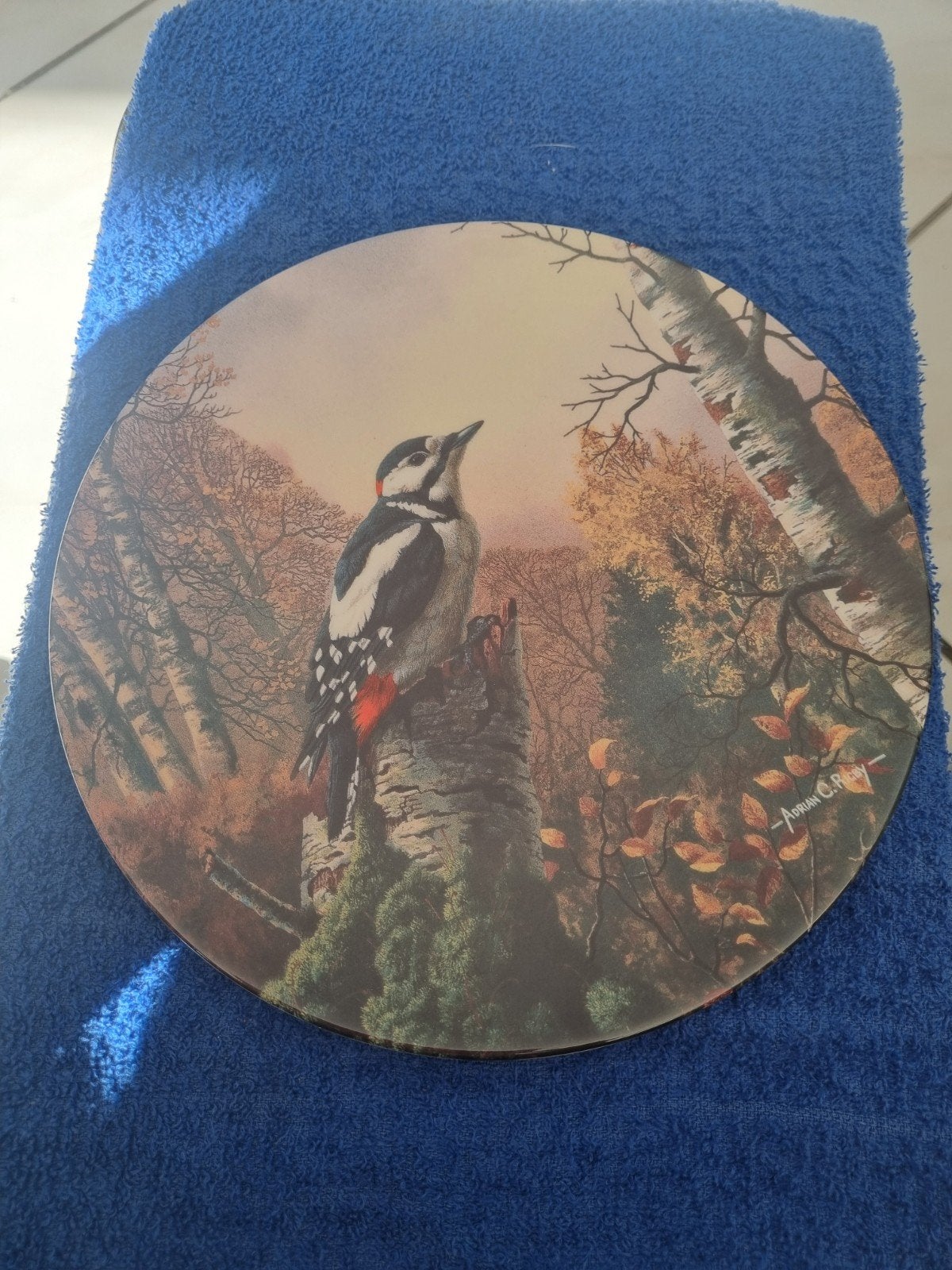 Royal Doulton 'Morning Sentinel' Specht Wandbord, Ophalen of Verzenden