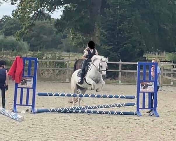Verzorg pony gezocht, Ophalen of Verzenden