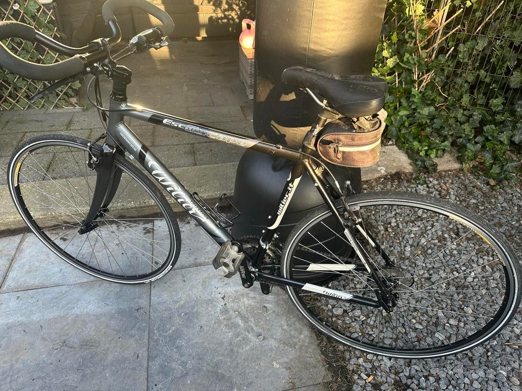 Wilier Triestina Racefiets  - Goede Staat, 28 inch, Gebruikt, Meer dan 20 versnellingen, 53 tot 57 cm