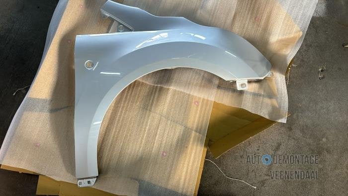 Scherm rechts-voor van een Ford Transit Connect (MOONDUST), Auto-onderdelen, -, -, Nieuw, Ophalen of Verzenden