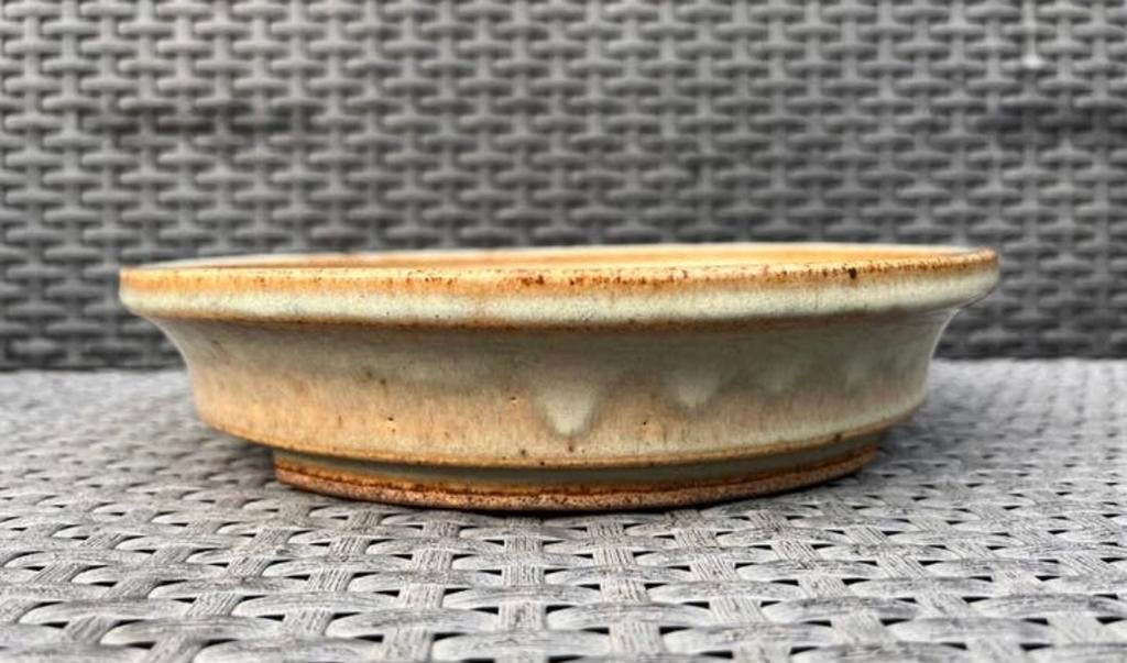 Bonsai schaal handgemaakt Seto Syouzan crème-bruin 25,8x5,4, Tuin en Terras, 25 tot 40 cm, Rond, Ophalen of Verzenden, Zo goed als nieuw