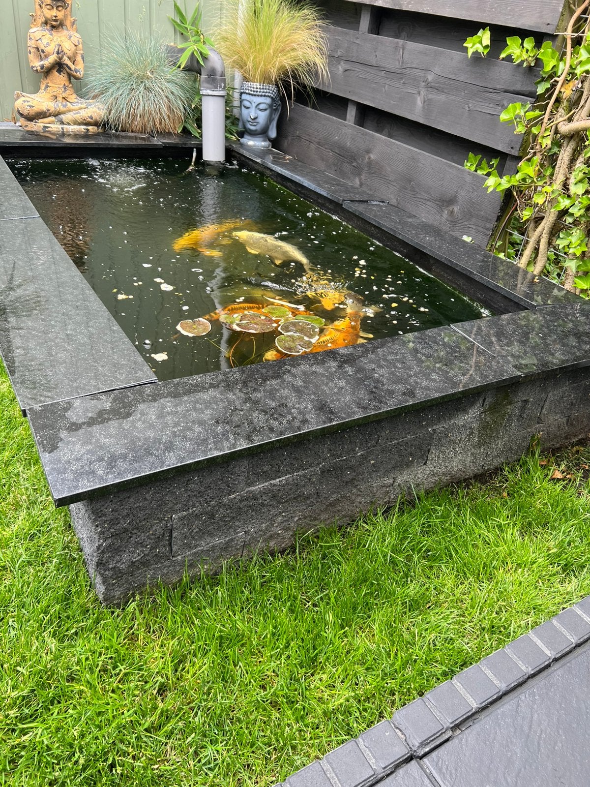 Vijverbak 2600 l, Ophalen, Gebruikt