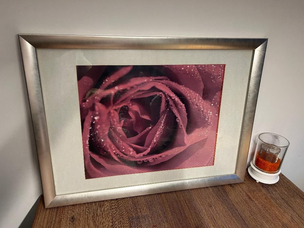 Fotolijst met print roos, Ophalen of Verzenden, Nieuw