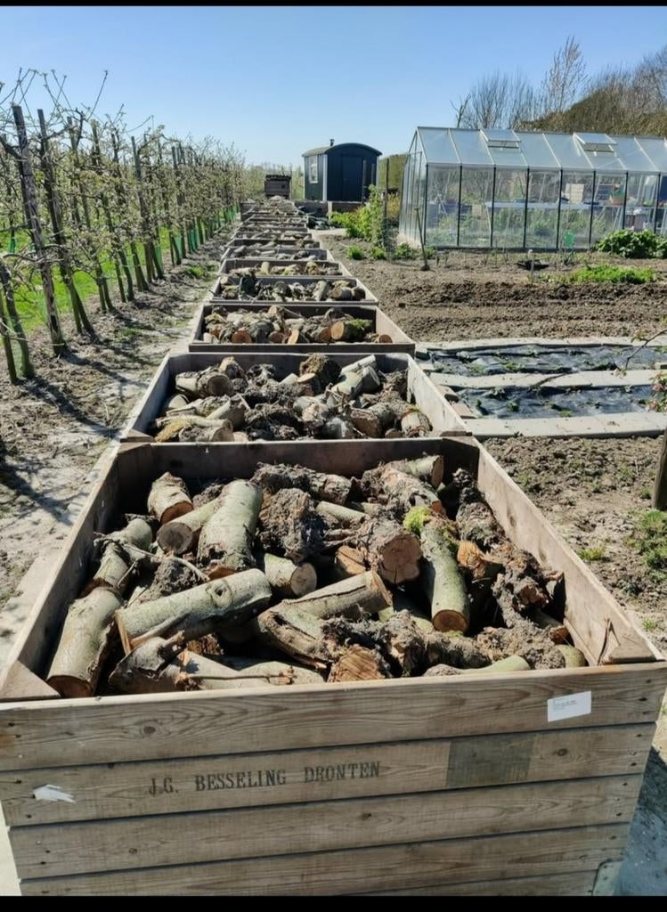 Openhaardhout / Appelhout, Tuin en Terras, Haardhout, Minder dan 3 m³, Ophalen of Verzenden, Overige houtsoorten, Blokken