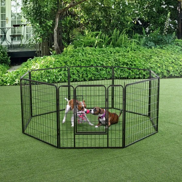 Honden ren nieuw in doos, Ophalen, Nieuw, ?, ?