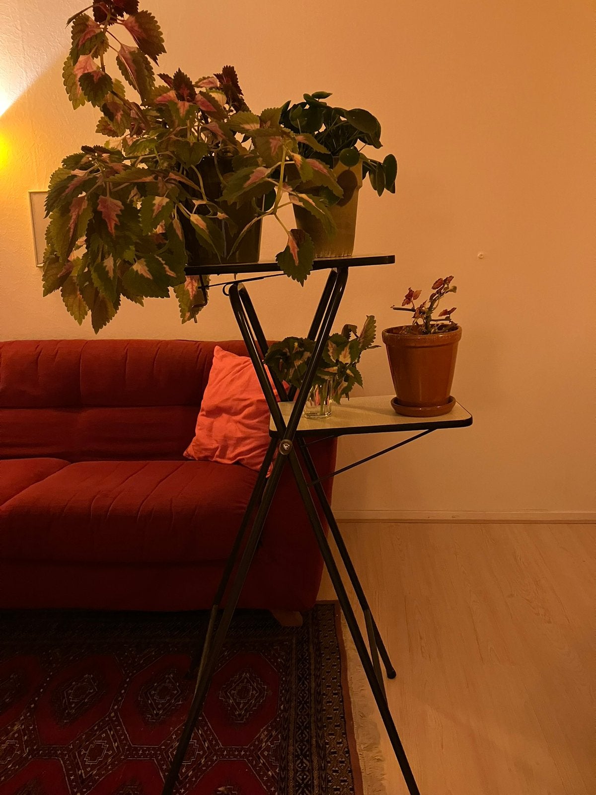 Plantentafel/oude projectortafel, Ophalen, Gebruikt