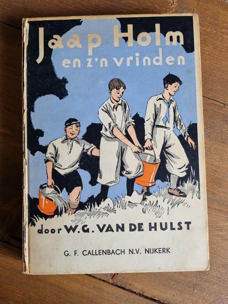 Jaap Holm en z'n vrinden - W.G. van de Hulst, Ophalen of Verzenden, Gelezen, W.G. van de Hulst, Fictie algemeen