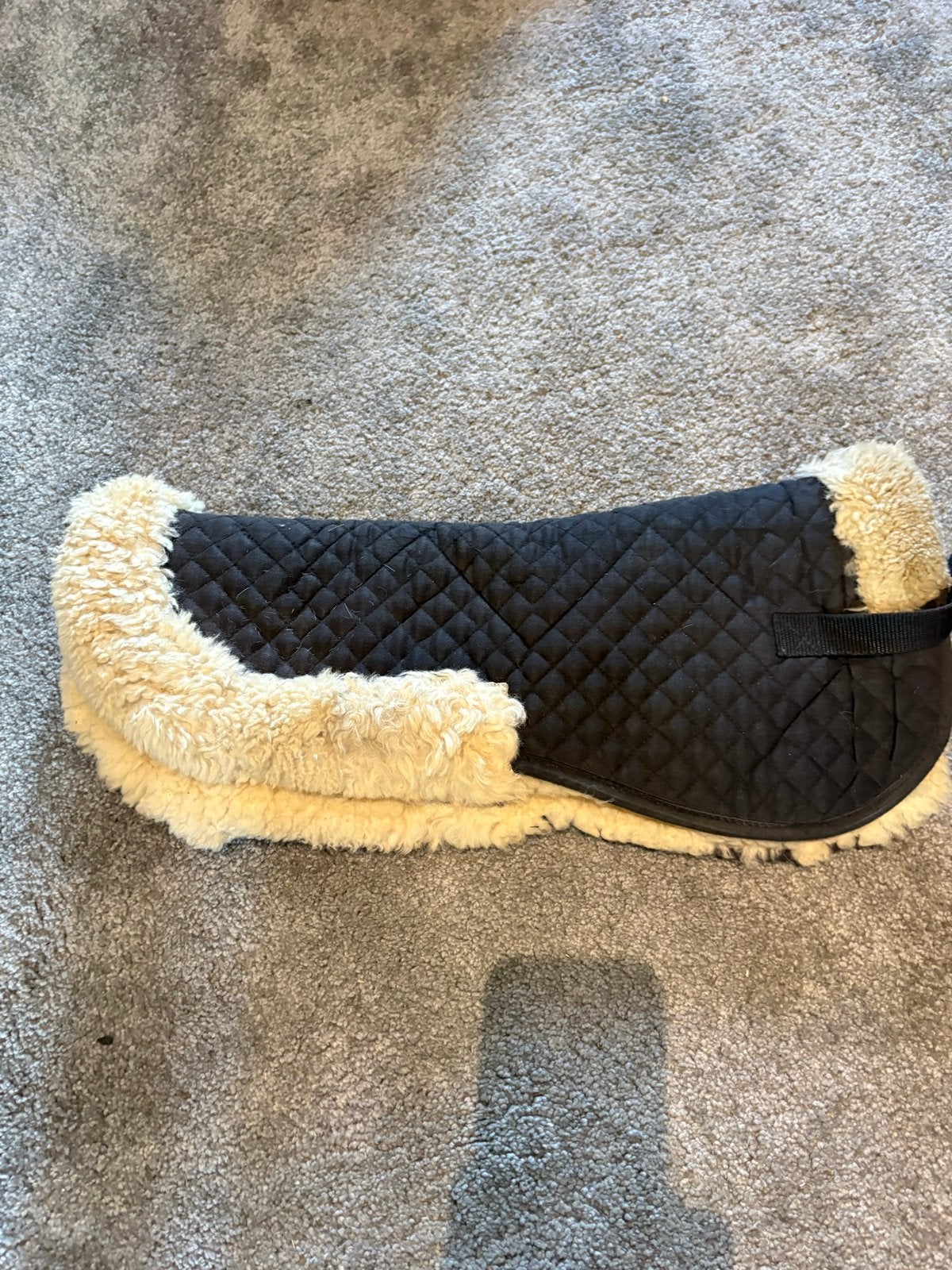 Bontjes wit,bruin,zwart, Dieren en Toebehoren, Ophalen of Verzenden