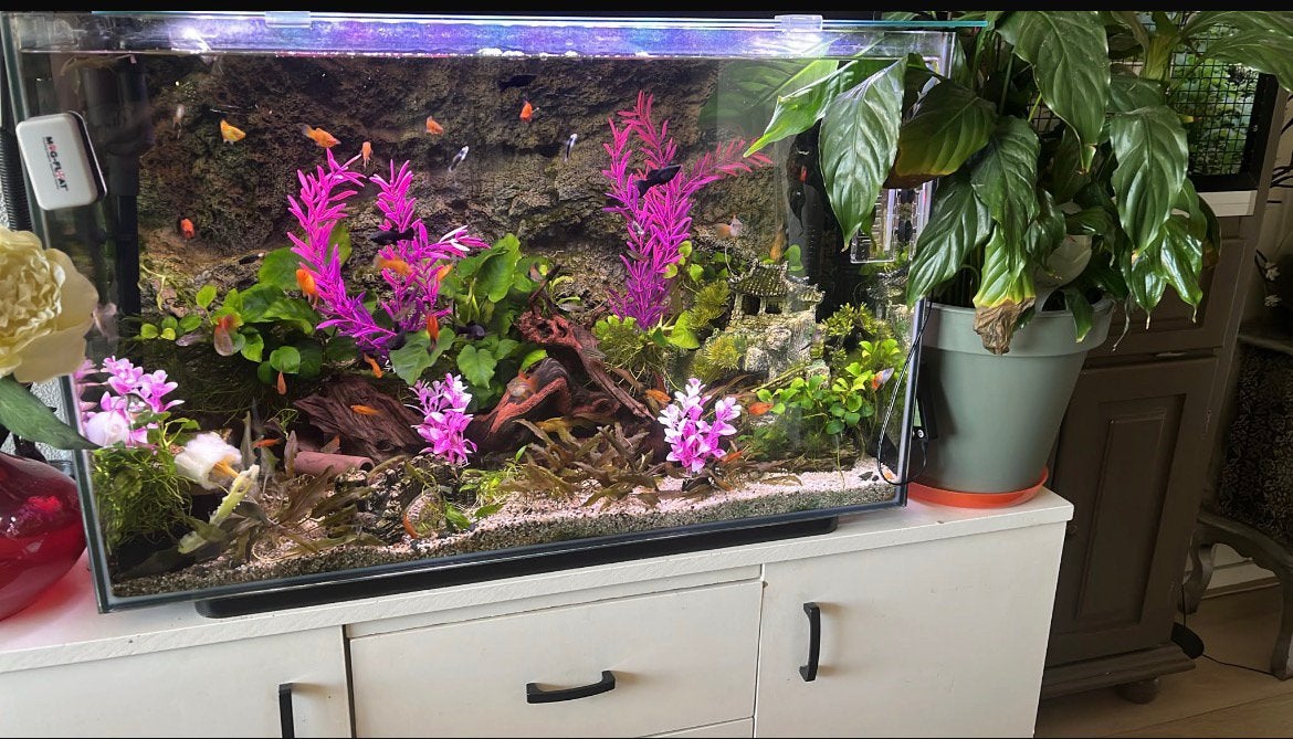 Superfish home aquarium-110 liter, Dieren en Toebehoren, Ophalen, Zo goed als nieuw, Leeg aquarium