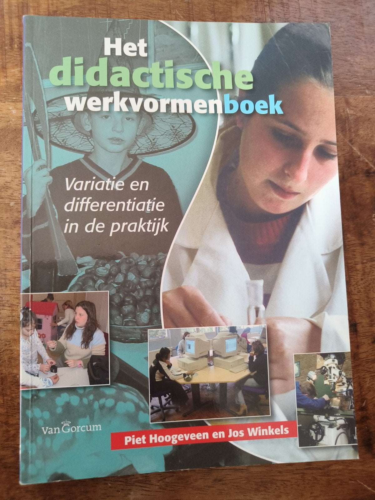 Het didactische werkvormenboek - Variatie en differentiatie, Boeken, Studieboeken en Cursussen, Piet Hoogeveen en Jos Winkels