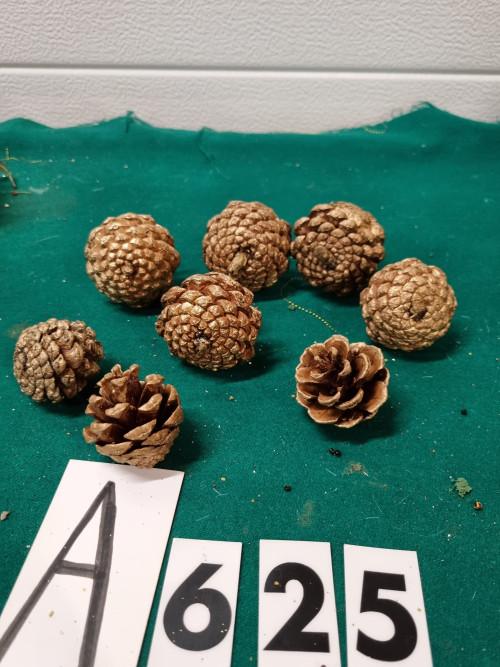 -Dennenappels goud randje 8 stuks , [a625], Ophalen of Verzenden, 'T Olde Gre-j, Info@toldegrej.nl, Endepoelstraat 20f Didam