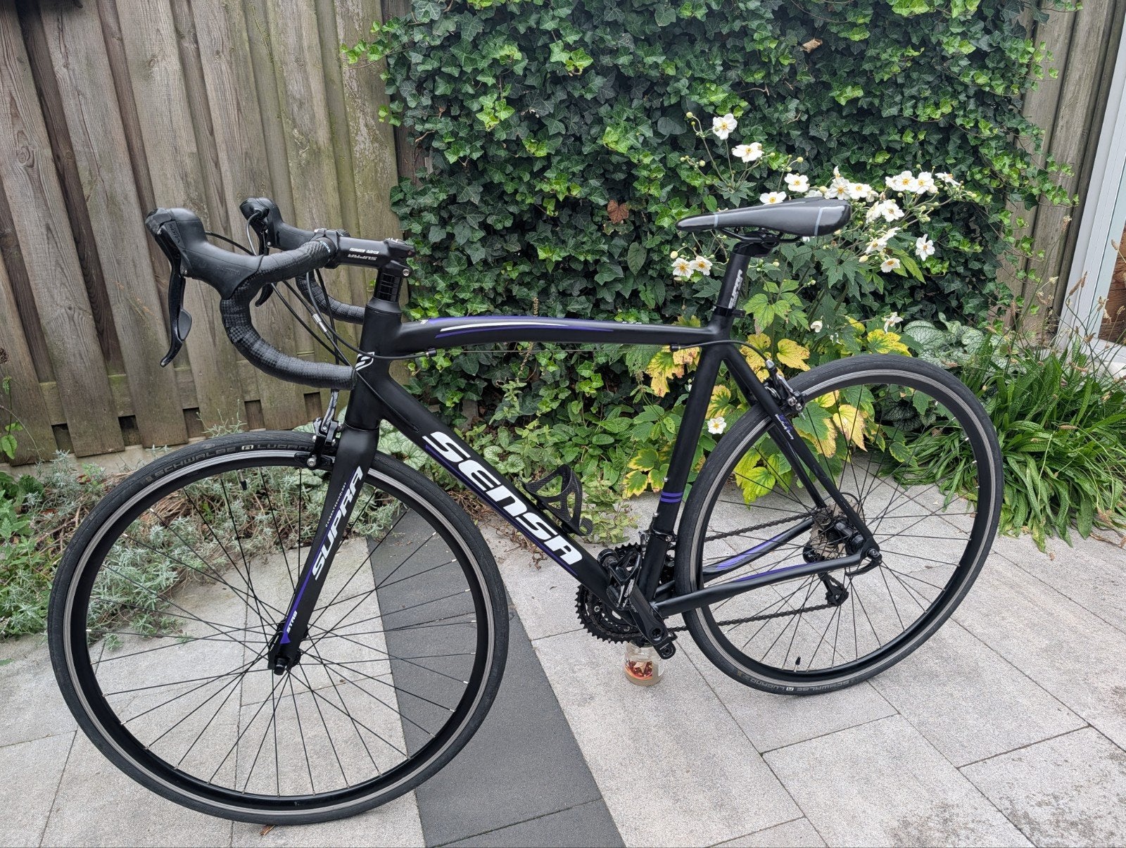 Sensa Latina Sora 2019, 28 inch, Gebruikt, Velgrem, Aluminium