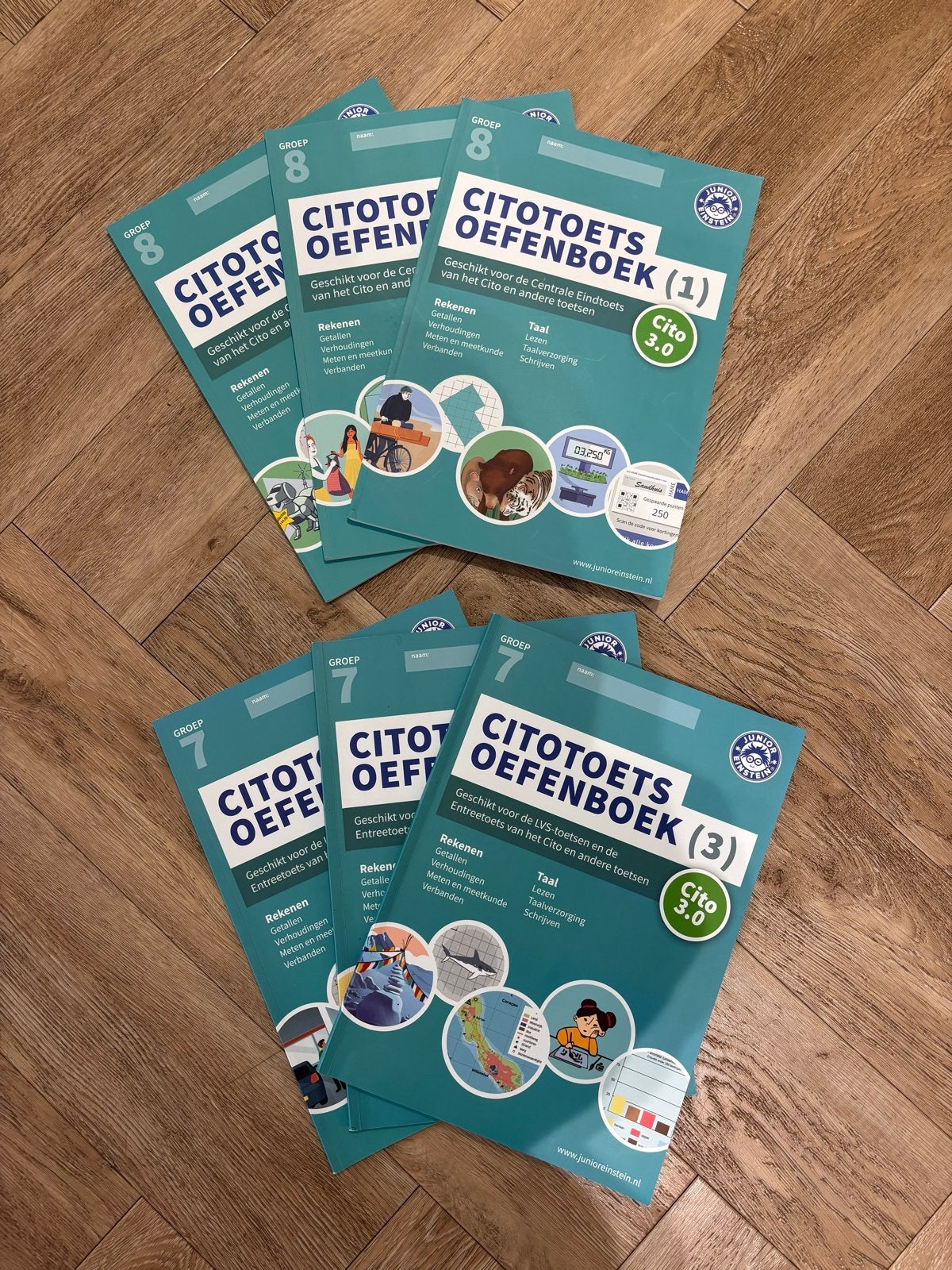 Cito oefenboeken groep 7 & 8 - Junior Einstein, Ophalen of Verzenden, Zo goed als nieuw, Overige niveaus, Overige vakken