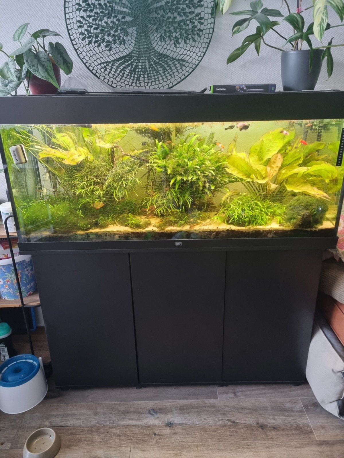 Compleet juwel aquarium met vissenbestand, Ophalen, Gevuld zoetwateraquarium