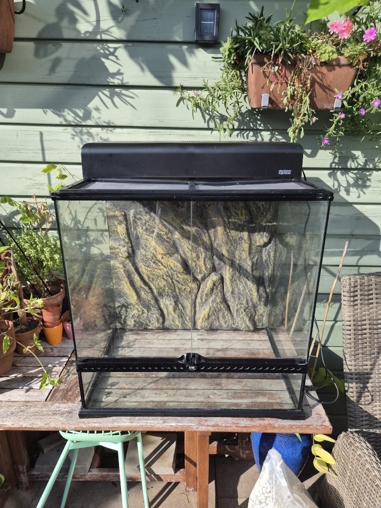 Exo terra (terrarium) 60x60x45 cm, Dieren en Toebehoren, Ophalen, Gebruikt, Terrarium of Paludarium