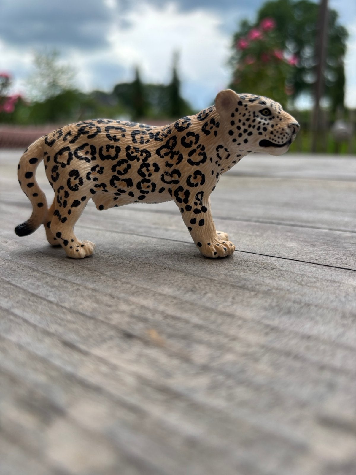 Jaguar, Ophalen of Verzenden, Zo goed als nieuw, Beeldje of Figuurtje