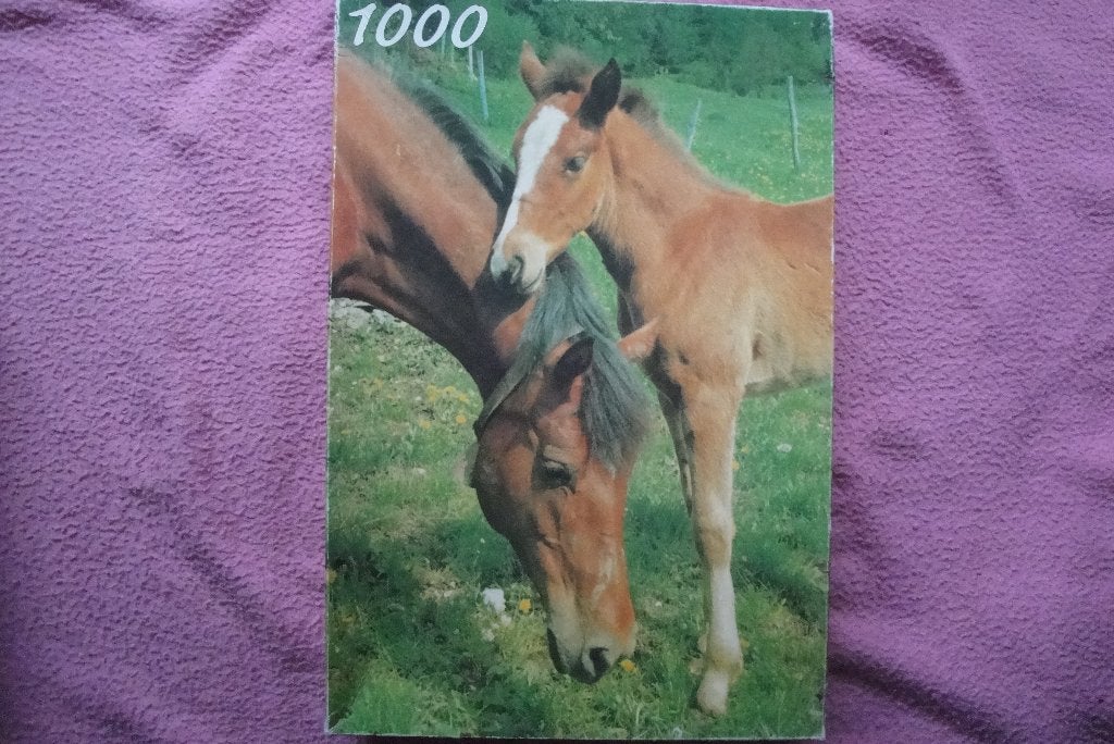 FAME PUZZLE 1.000 stukjes voor 1,95euro., Hobby en Vrije tijd, Denksport en Puzzels, Ophalen of Verzenden, 500 t/m 1500 stukjes