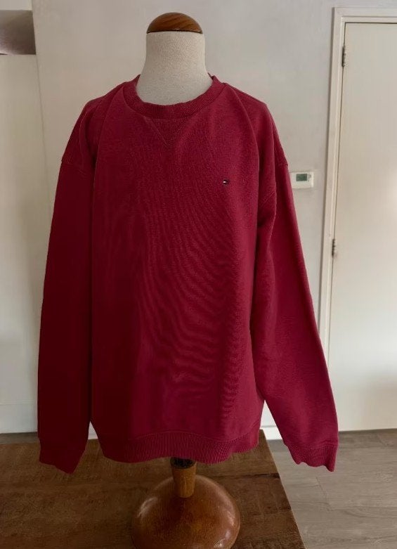 TOMMY HILFIGER trui rood roze netjes maat 176 DW, Kinderen en Baby's, Kinderkleding | Maat 176, Gebruikt, Tommy Hilfigger, Meisje