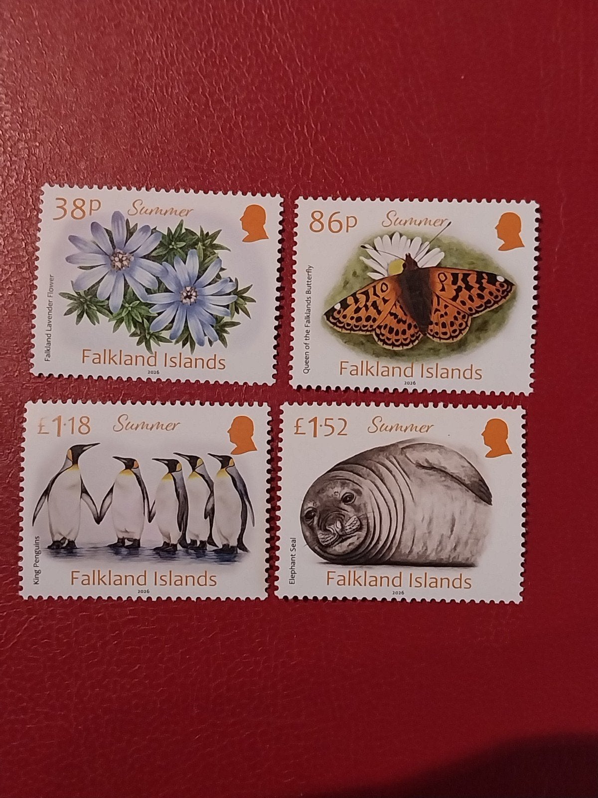 Falkland Uslands set dieren/flora 2025 postfris, Ophalen of Verzenden, Dier of Natuur