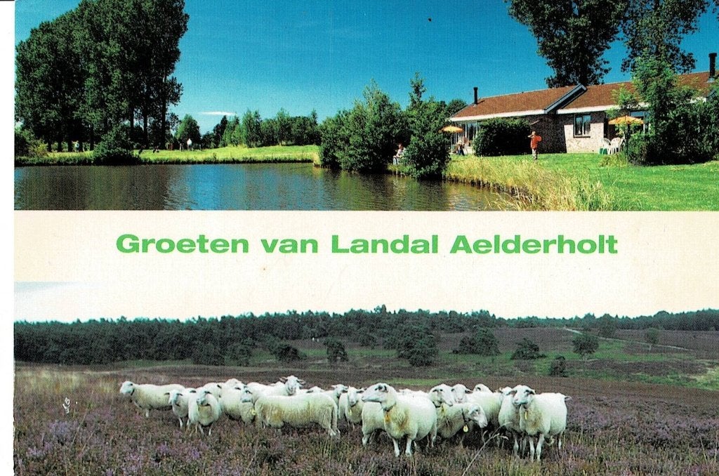Aalten, Landal Aelderholt, Ophalen of Verzenden, Gelopen, Drenthe