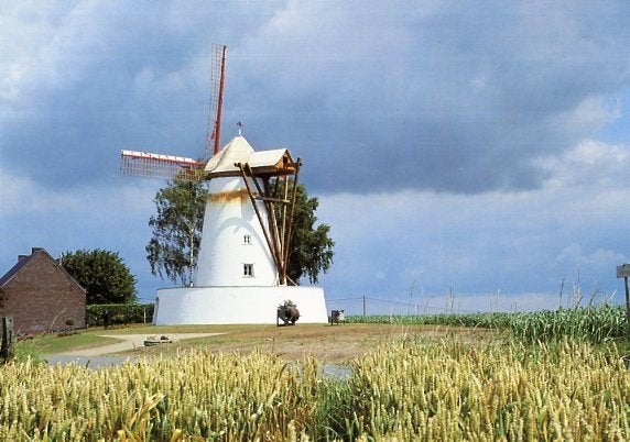 (BG121) Kaart België molen Ostiches De Witte Molen 2000, Verzamelen, Ansichtkaarten | België, Ophalen of Verzenden, 1980 tot heden