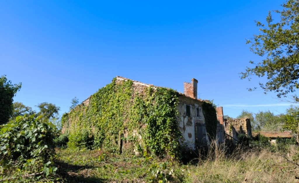 boerderij frankrijk, Ophalen