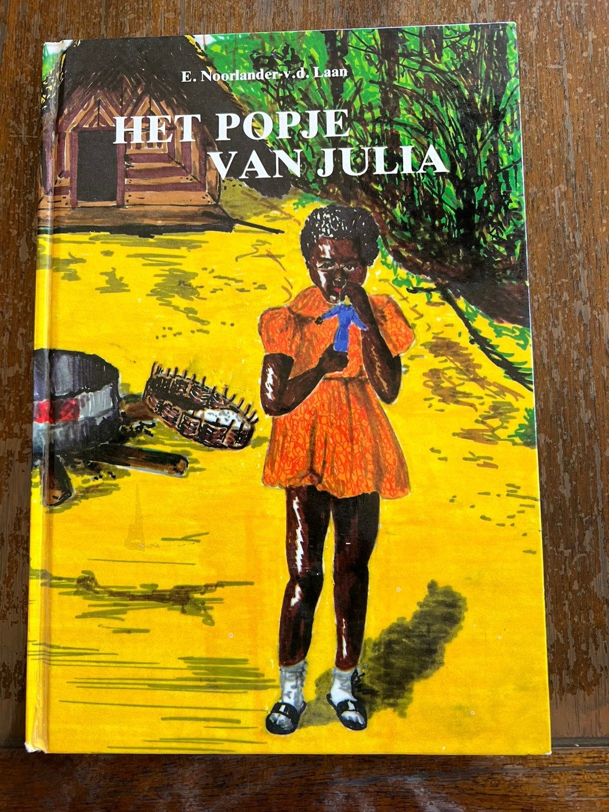 Het popje van Julia door E. Noorlander vd Laan, Antiek en Kunst, Ophalen of Verzenden