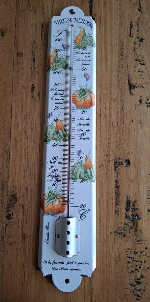 Grote Franse emaille thermometer, pompoenen, vlindertjes, Antiek en Kunst, Ophalen of Verzenden