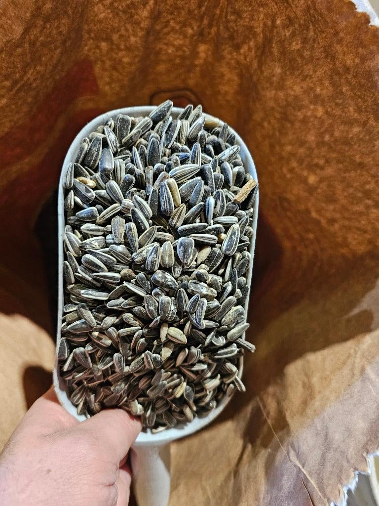 Gestreepte zonnebloempitten 1kg, Ophalen, Nieuw, Eten en Drinken