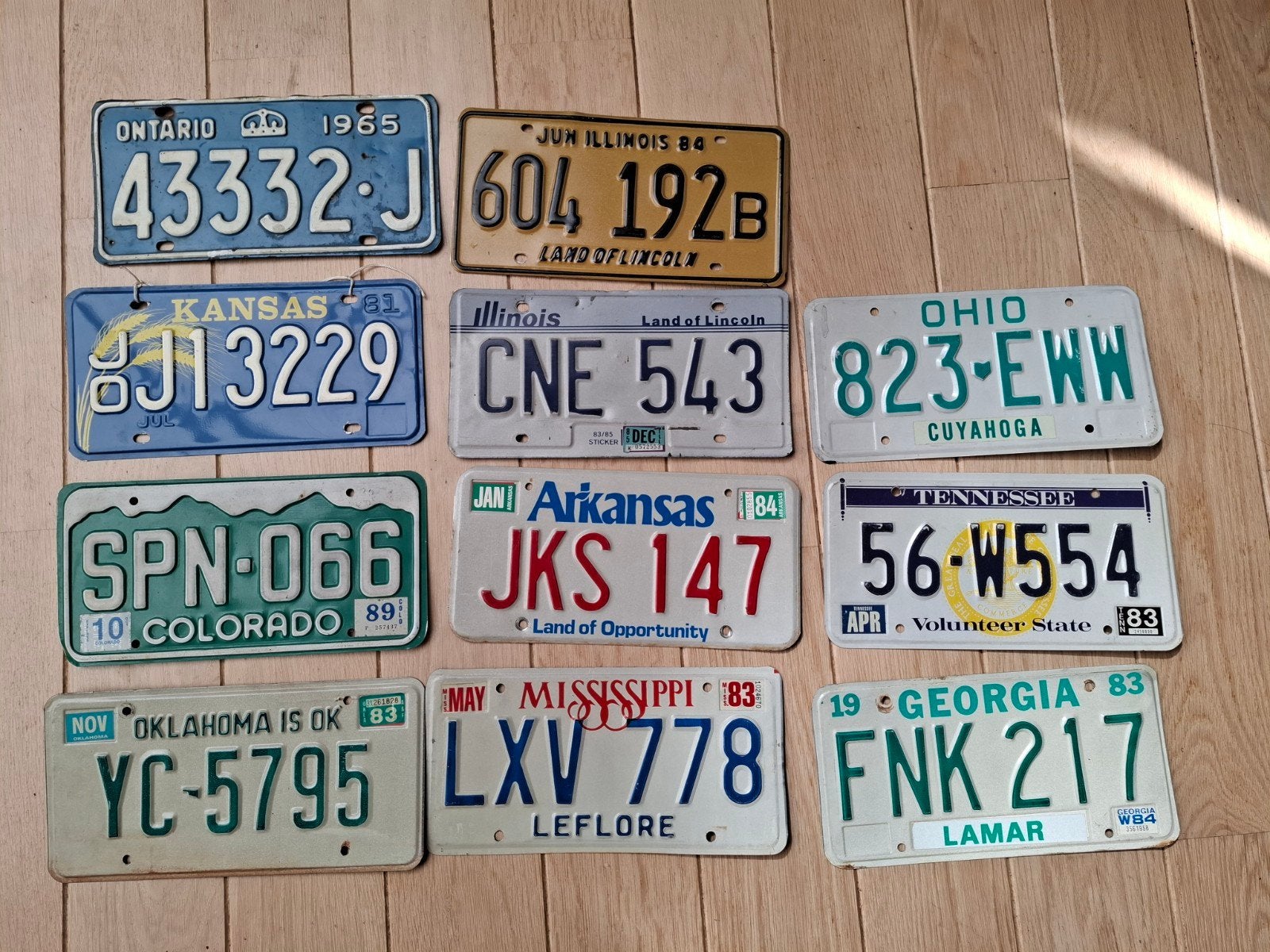 Amerikaanse en Canadese kentekenplaten, Ophalen of Verzenden, Gebruikt, Auto's