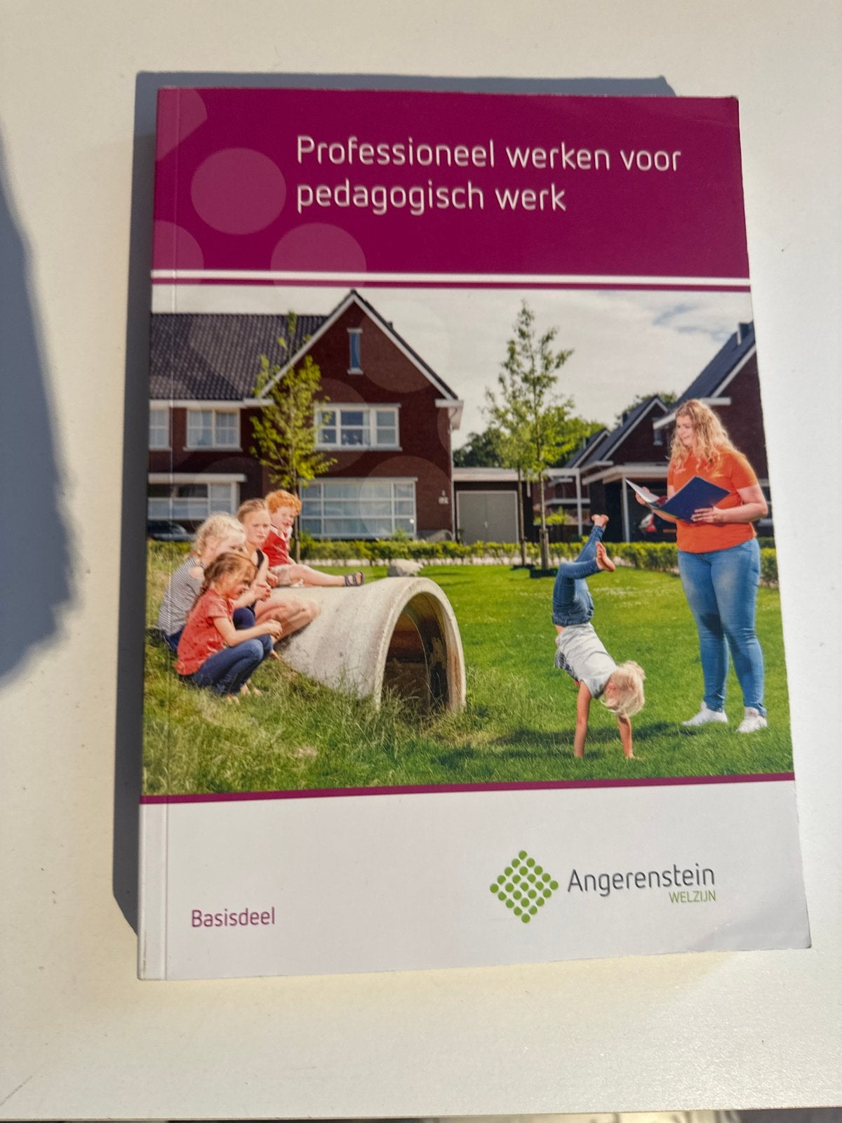 Professioneel werken voor pedagogisch werk - Basisdeel, Ophalen of Verzenden, Gamma, Zo goed als nieuw, MBO