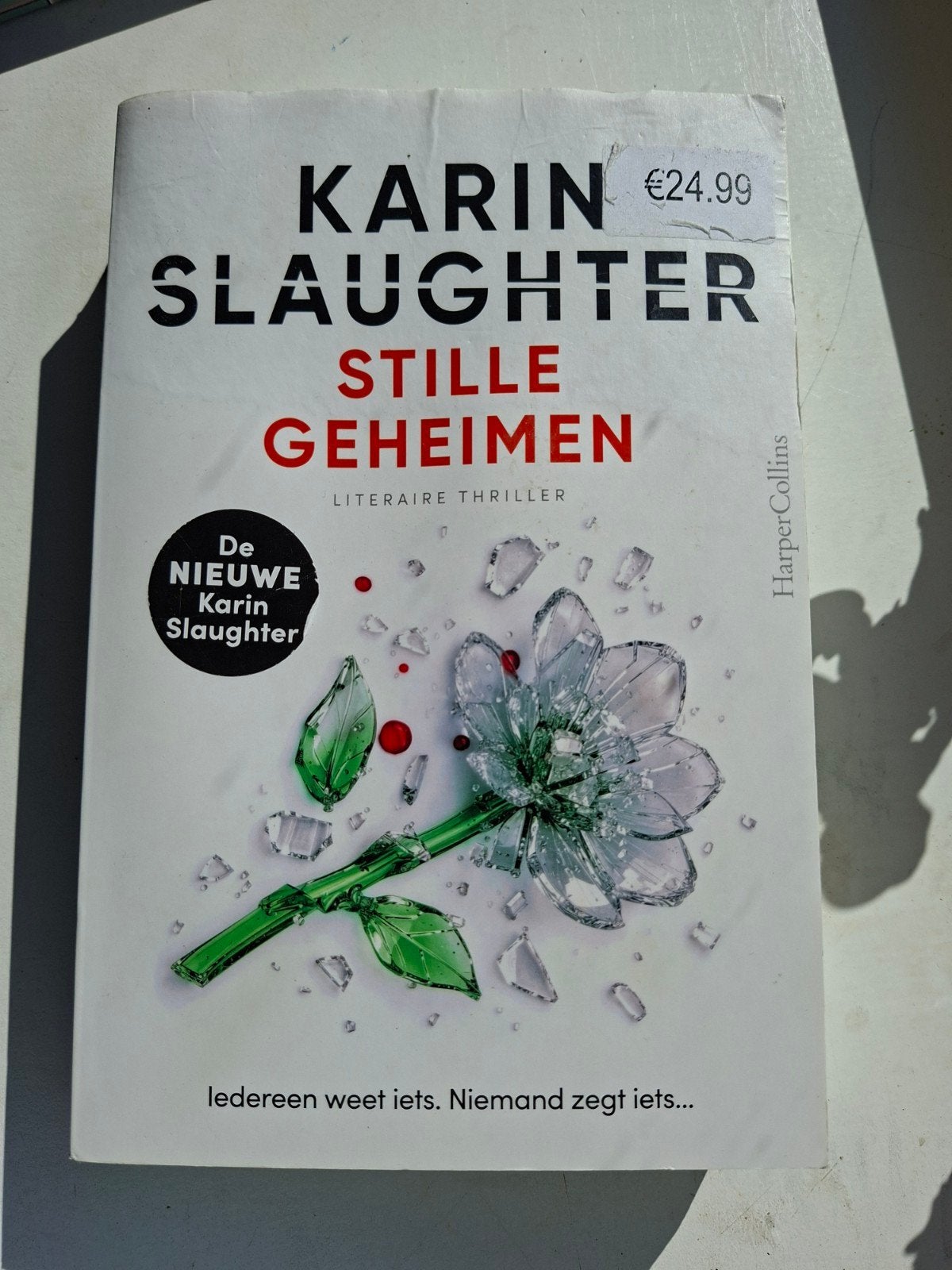 Karin Slaughter - Stille Geheimen (Literaire Thriller), Ophalen of Verzenden, Zo goed als nieuw, Karin Slaughter, Amerika