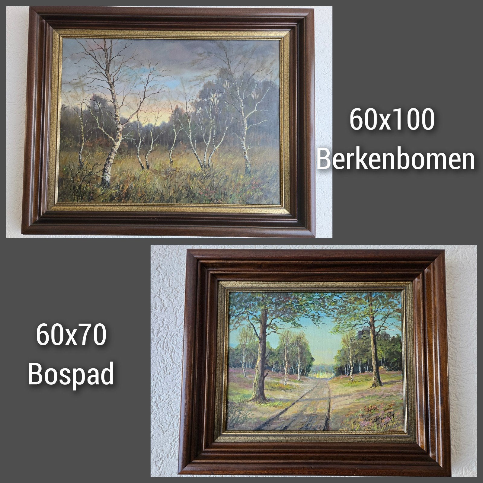 Originele schilderijen Willy van Rooij: Bospad & Berkenbomen, Antiek en Kunst, Ophalen, Doek, Gesigneerd, Landschap