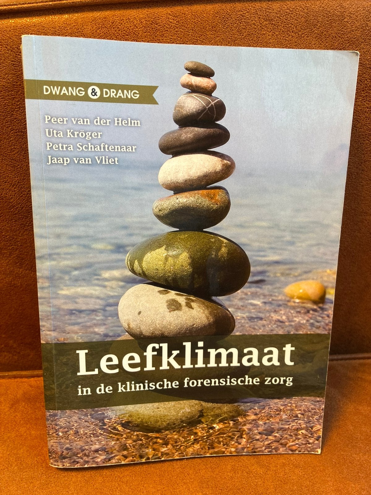 Studieboek: Leefklimaat in de klinische forensische zorg, Ophalen of Verzenden, Beta, Gelezen, HBO
